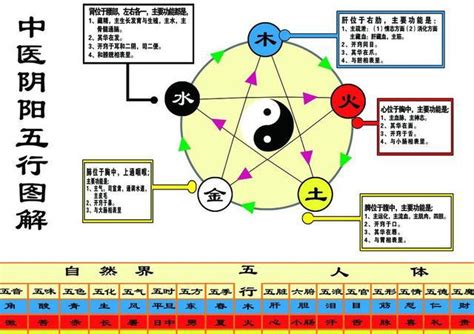 金融行业五行属什么|命理五行对应的行业类别大全（必须收藏）